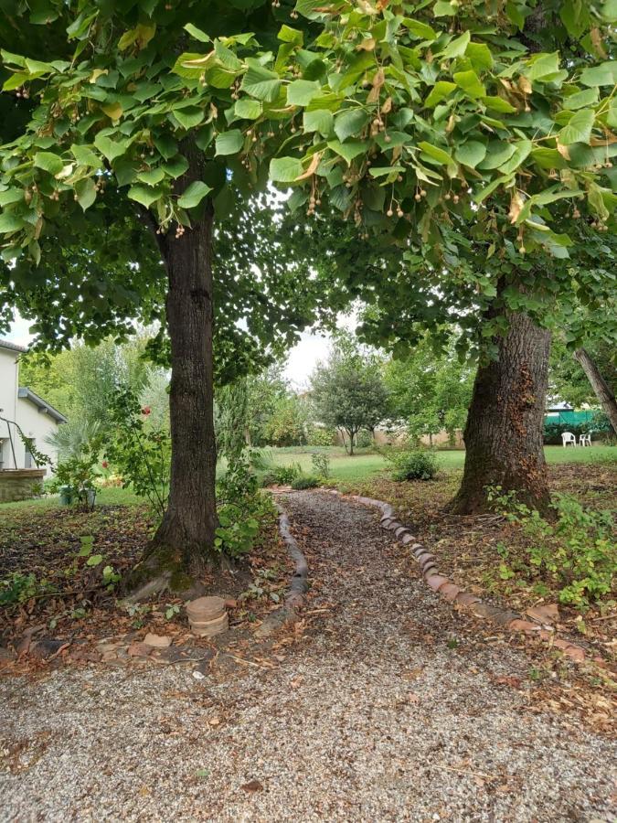 O Nature Cheris Mes Voeux Avant Qu'Ils S'Enfuient Francescas 外观 照片